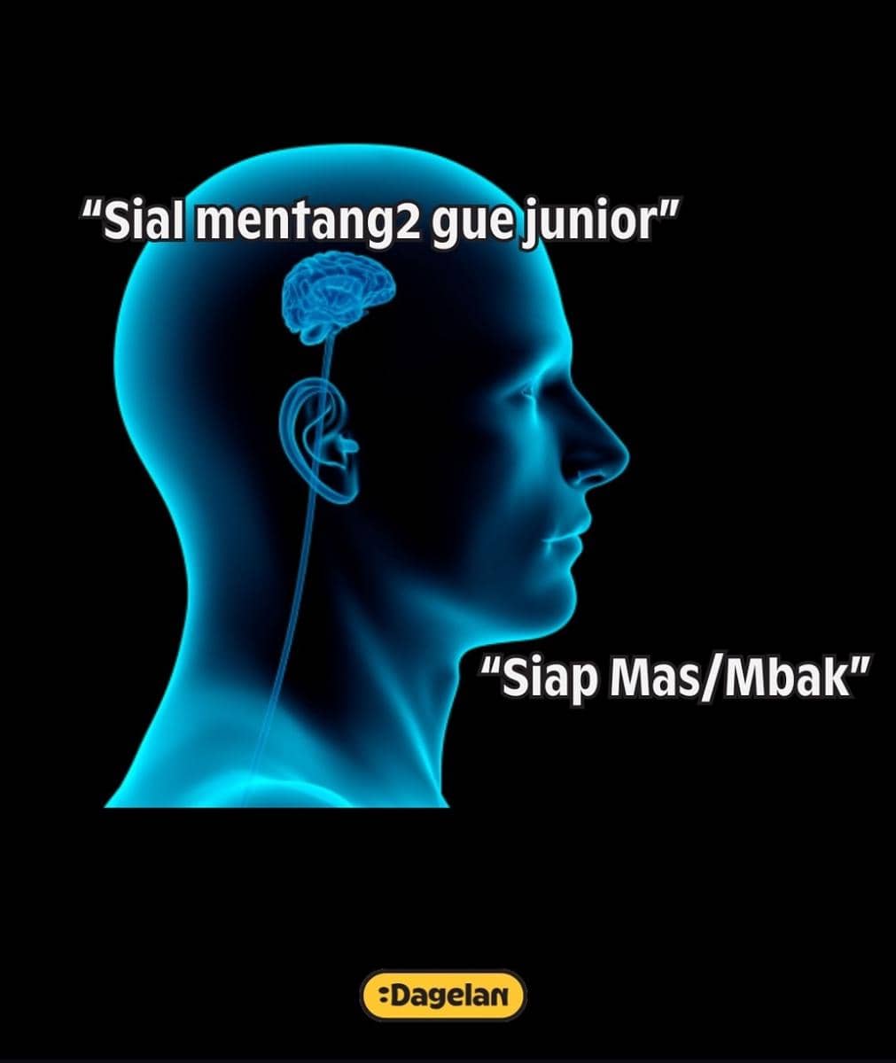 meme hari pertama kerja