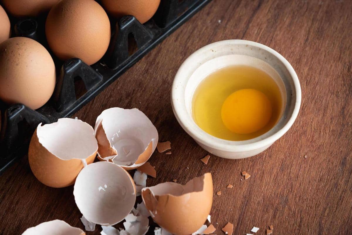 ilustrasi telur mentah