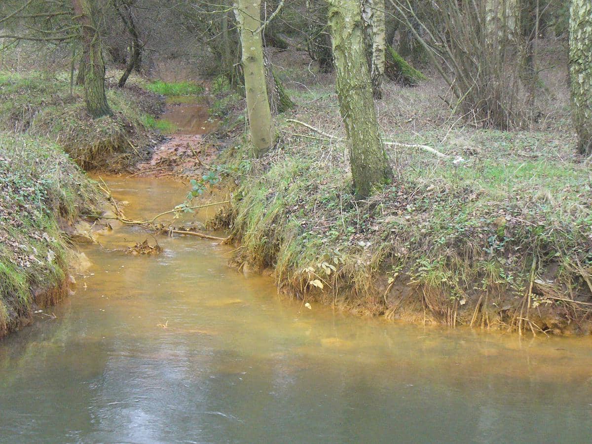 benarkah kerusakan hutan bisa mengubah warna laut?