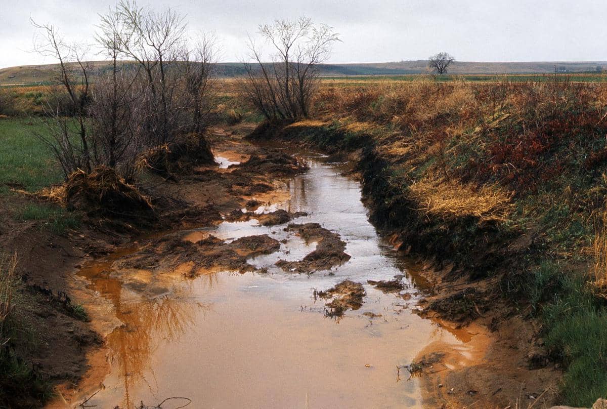 benarkah kerusakan hutan bisa mengubah warna laut?