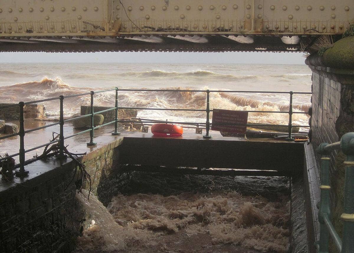 benarkah kerusakan hutan bisa mengubah warna laut?