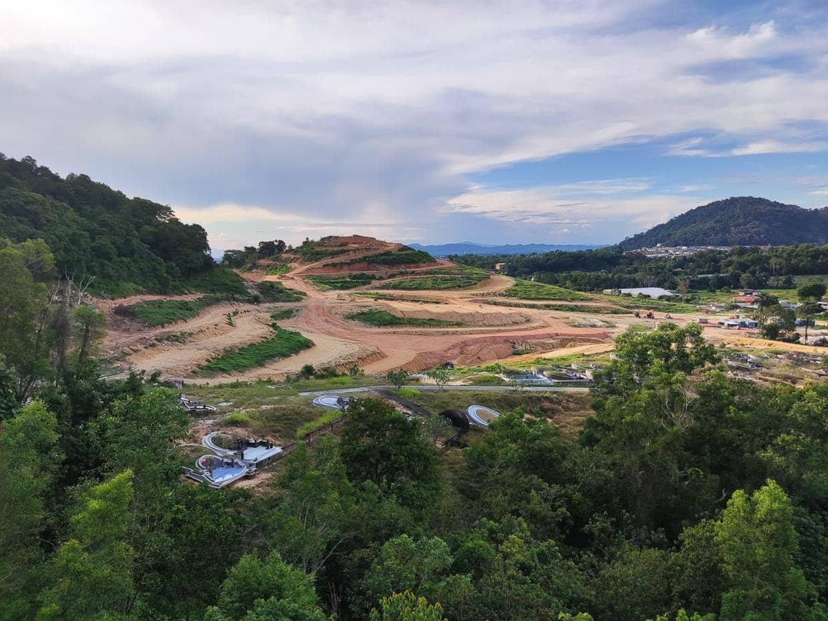 ilustrasi deforestasi 