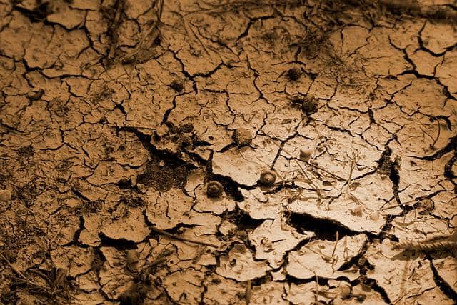 PBB Peringatkan El Nino Sangat Kuat Bertahan hingga Februari 2027