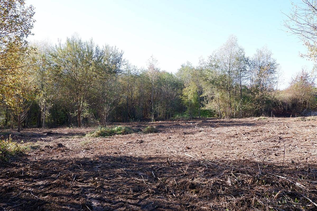 kerusakan hutan bisa mengubah arah hujan