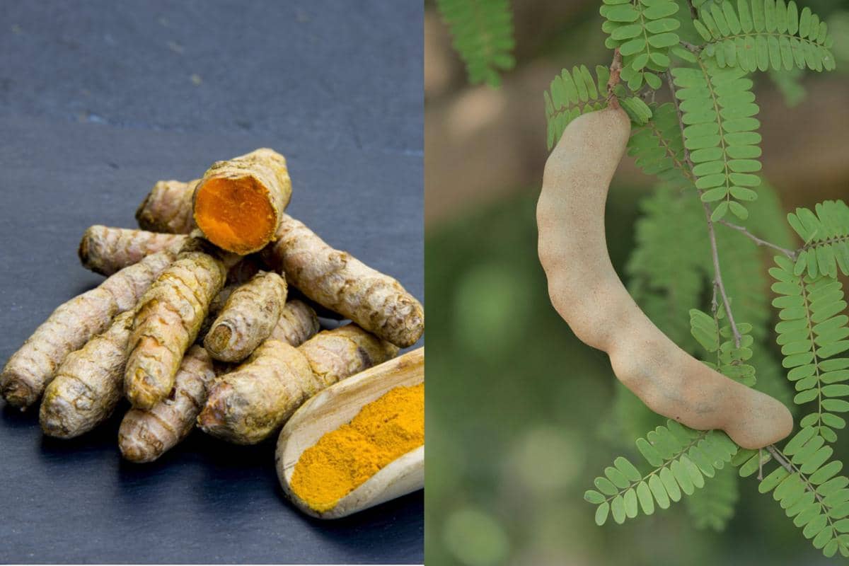 ilustrasi kunyit, buah, dan daun asam