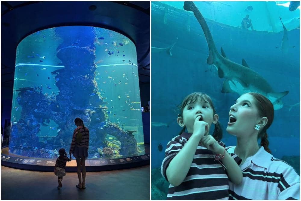 Mikaila Patritz ajak Evola ke Singapore Oceanarium.