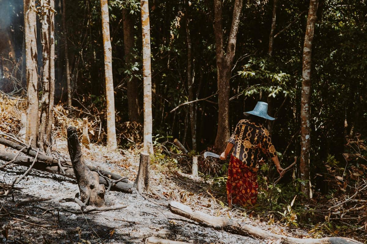 ilustrasi masyarakat yang terdampak berkurangnya sumber daya alam dari hutan