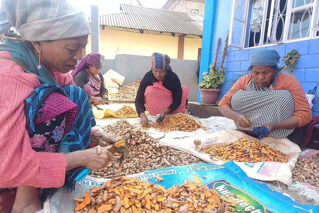 ilustrasi orang memotong kunyit