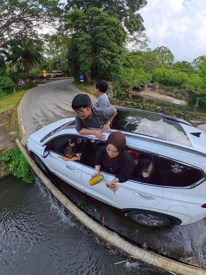 Ririe Fairus dan buah hati berlibur ke Taman Safari Bogor.