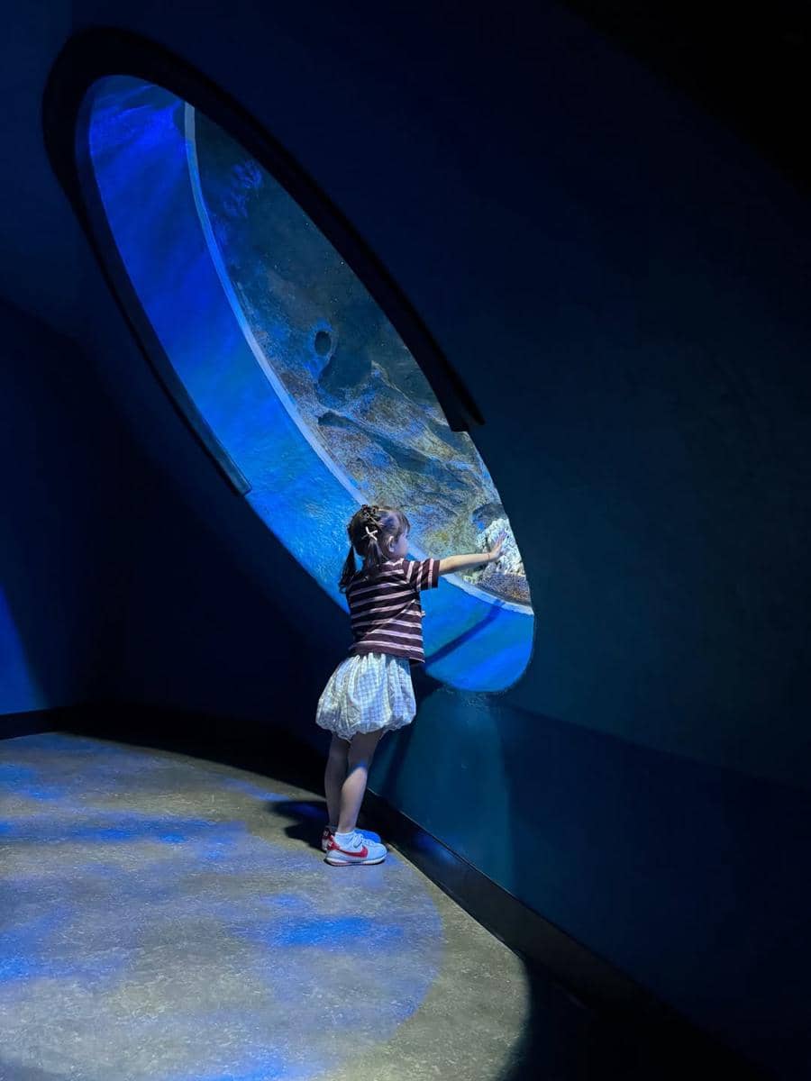 Mikaila Patritz ajak Evola ke Singapore Oceanarium.