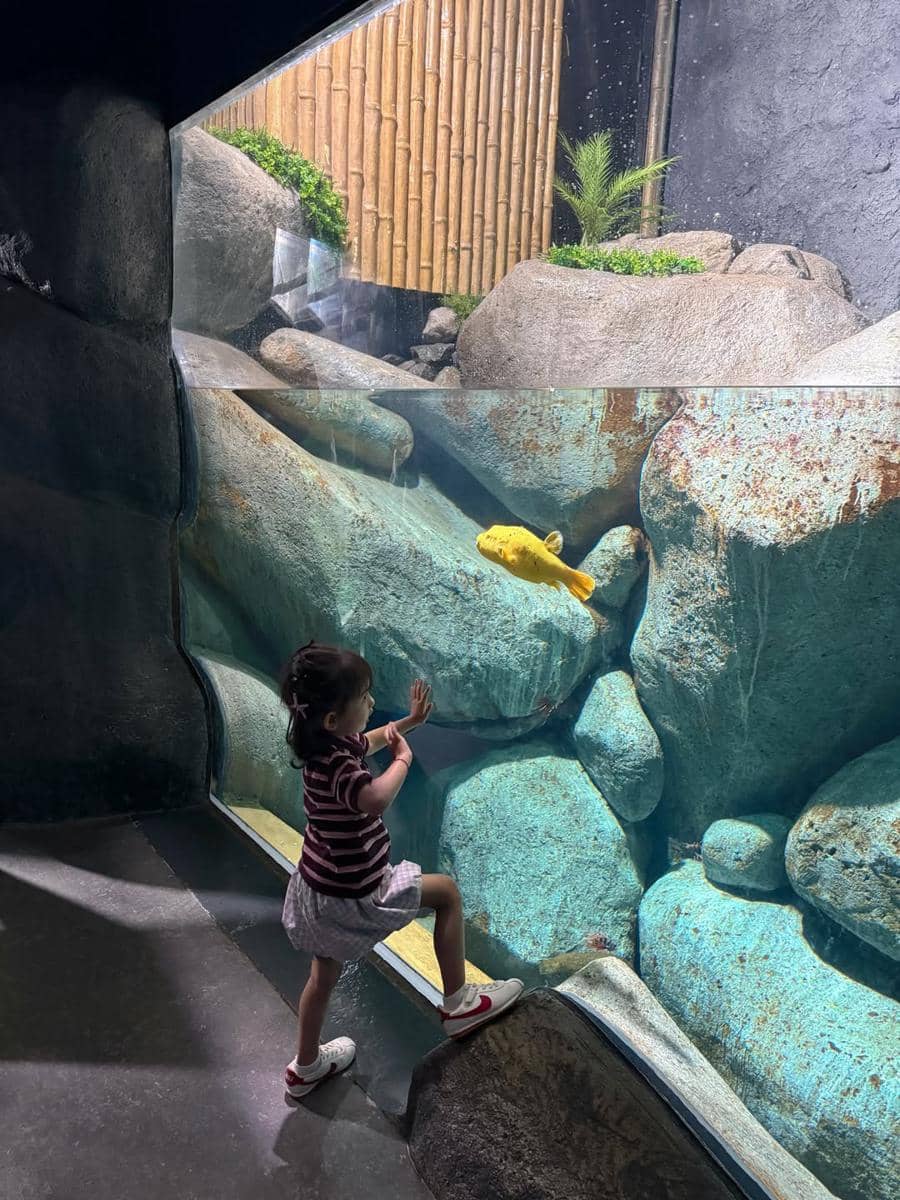 Mikaila Patritz ajak Evola ke Singapore Oceanarium.
