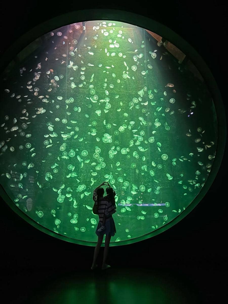 Mikaila Patritz ajak Evola ke Singapore Oceanarium.