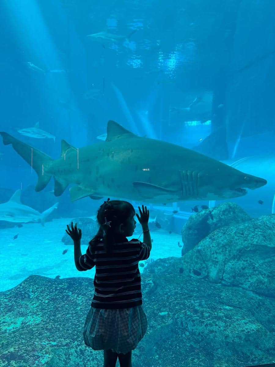 Mikaila Patritz ajak Evola ke Singapore Oceanarium.