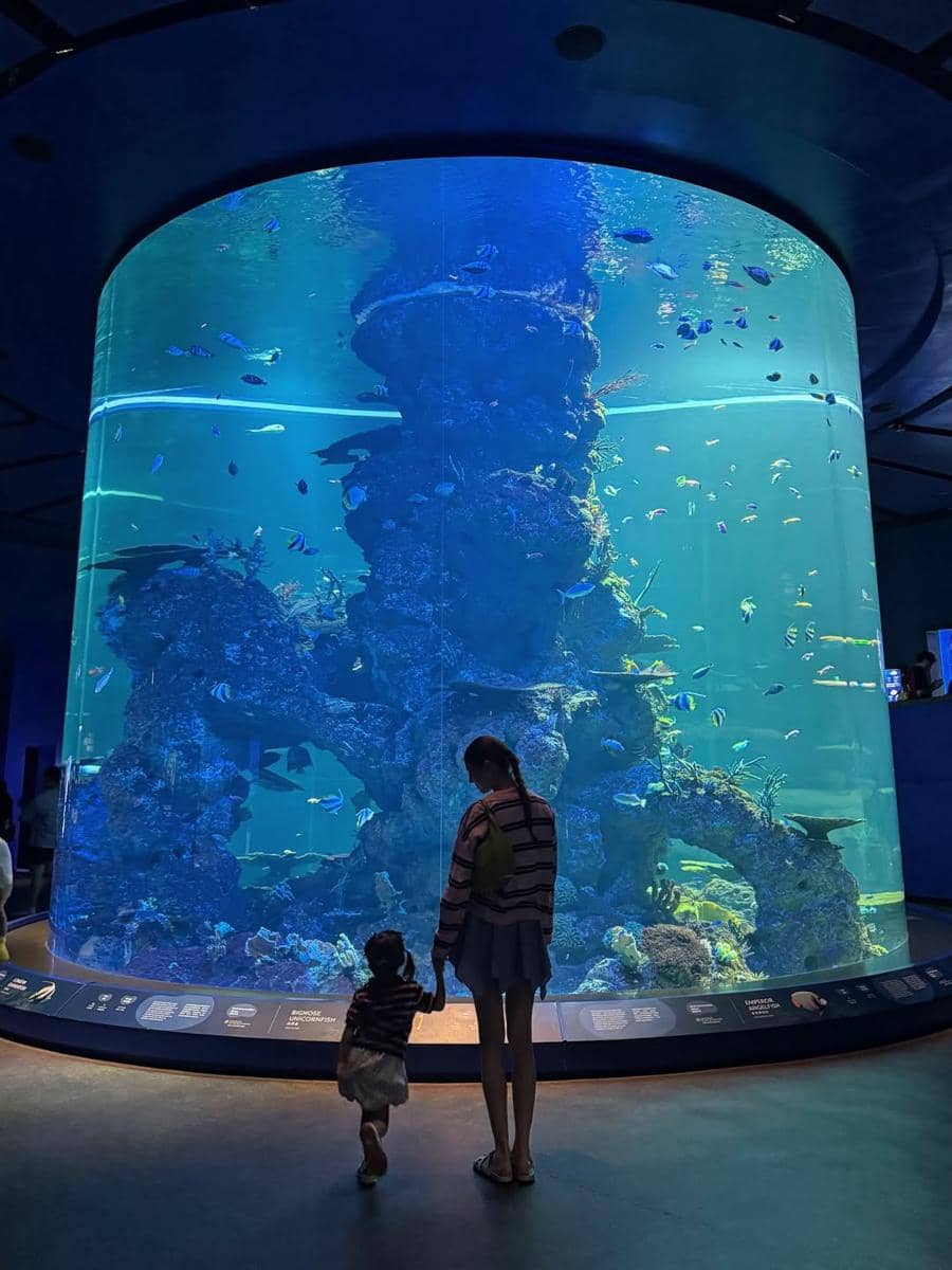 Mikaila Patritz ajak Evola ke Singapore Oceanarium.