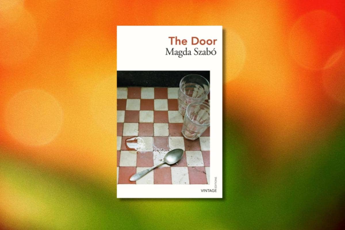 novel The Door