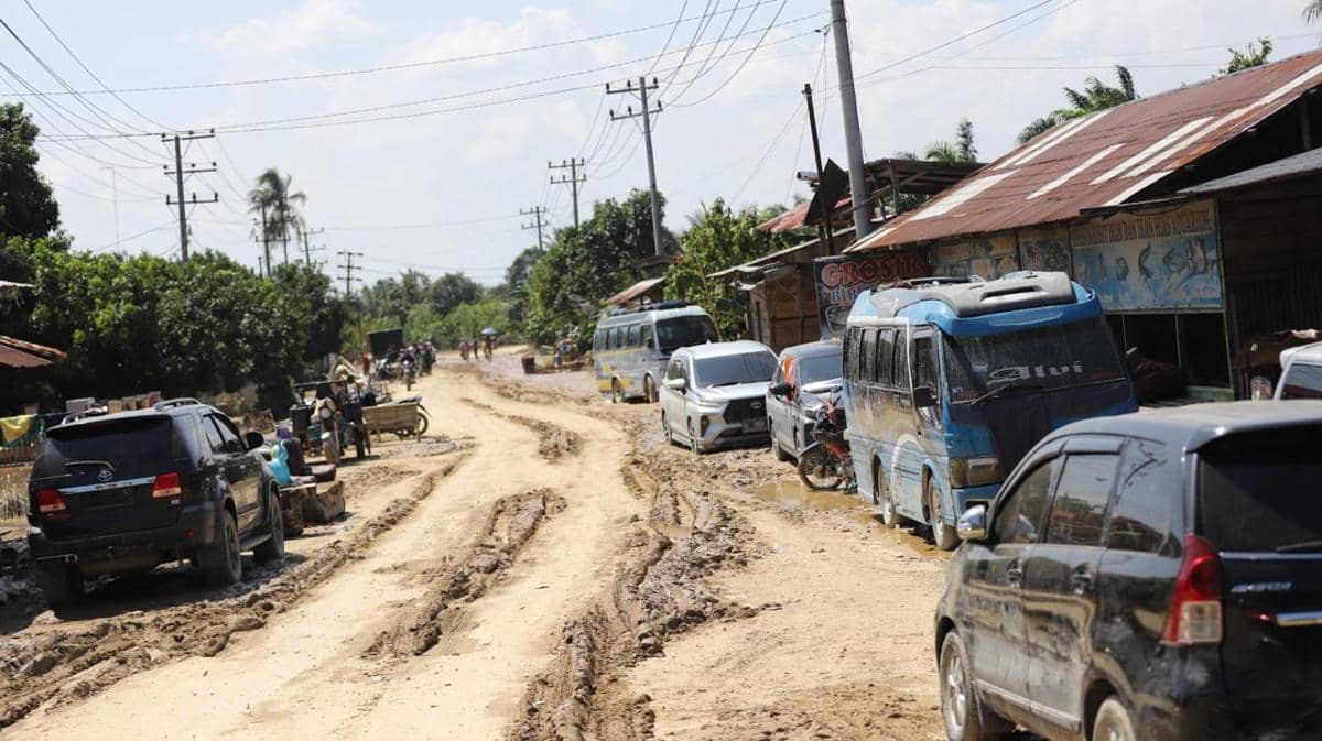 WhatsApp Image 2025-12-02 at 17.53.13.jpeg