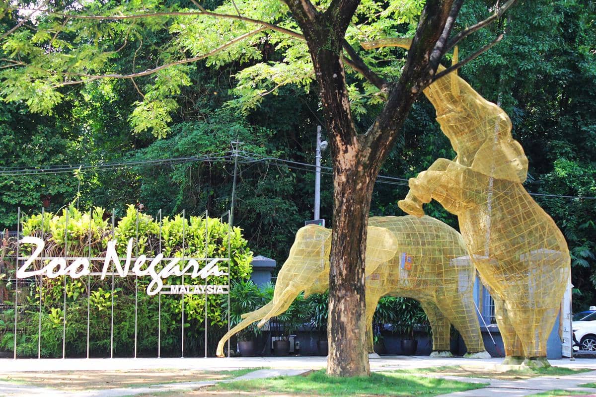 potret Zoo Negara