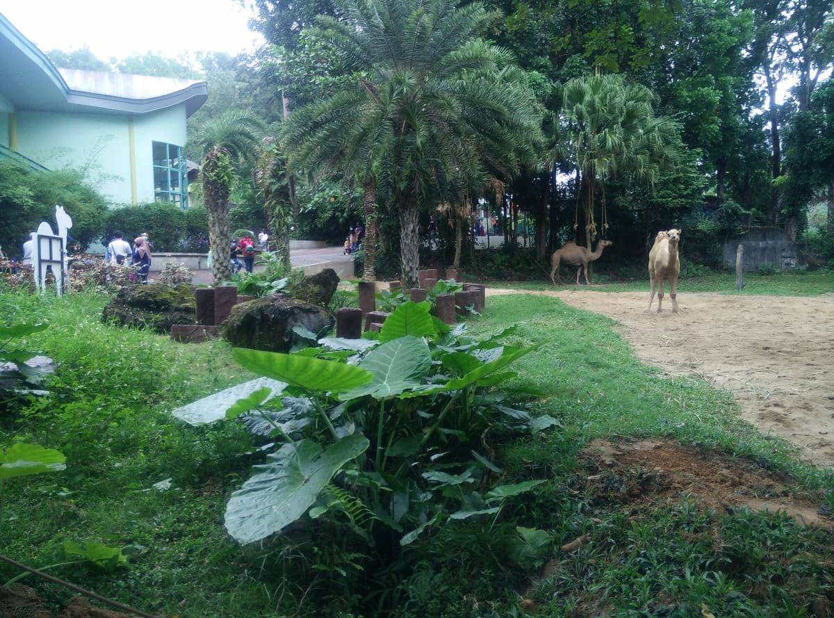 potret Zoo Negara