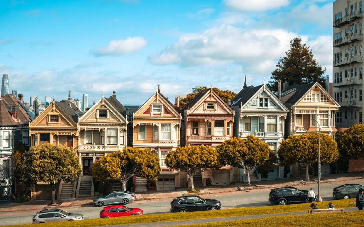 Painted Ladies