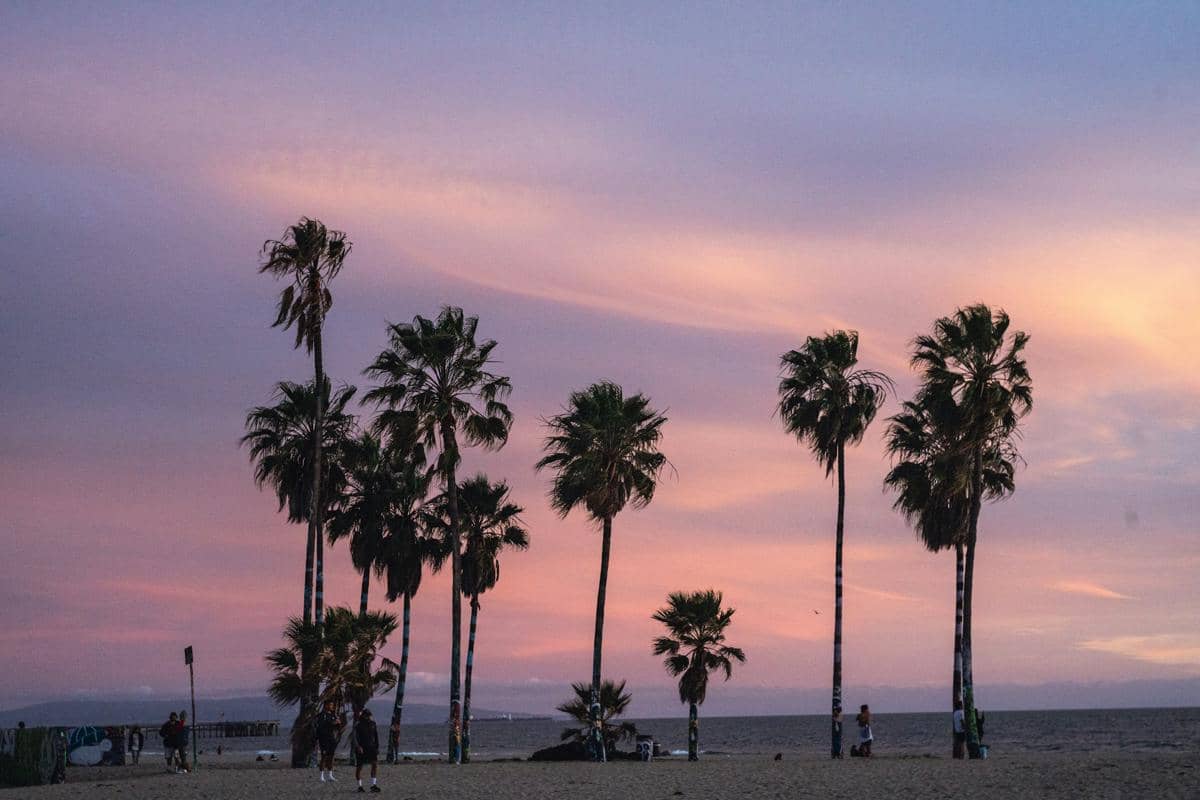 Venice Beach