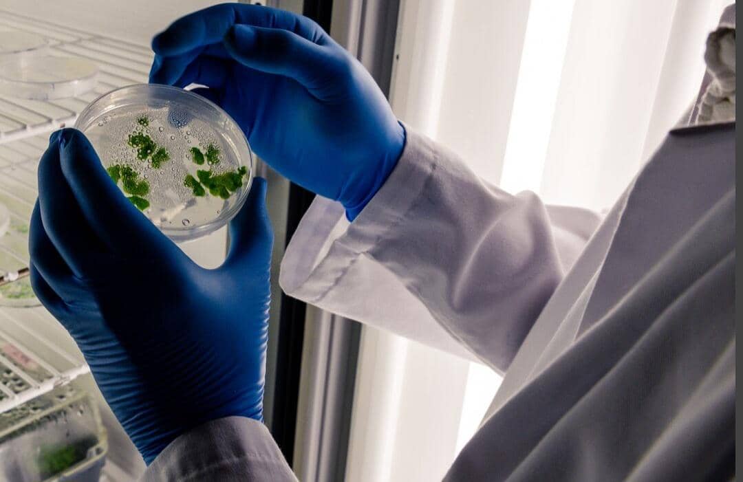 ilustrasi Bioremediasi (freepik.com/wirestock)