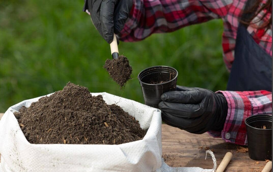 ilustrasi pupuk hayati (freepik.com/jcomp)