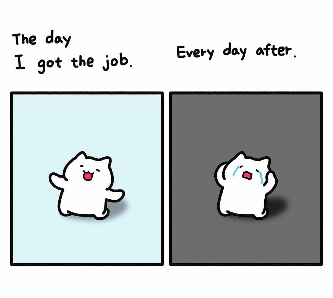 meme hari pertama kerja