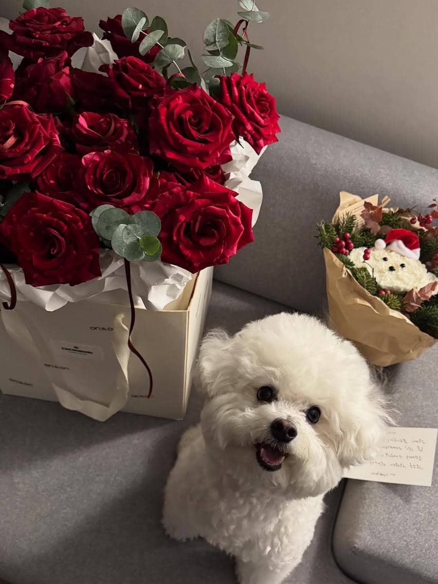 potret ulang tahun Jung Chaeyeon ke-28