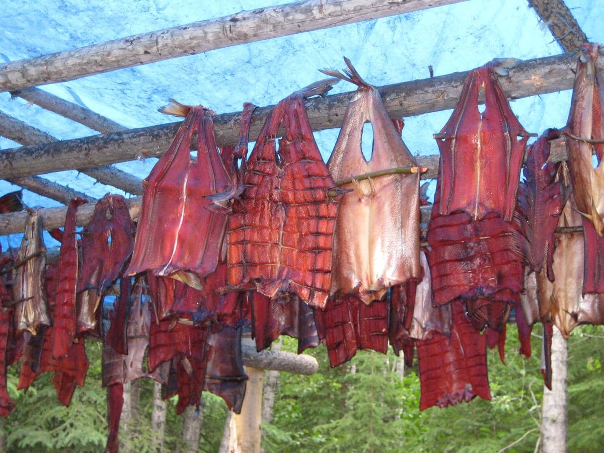 ilustrasi candied salmon