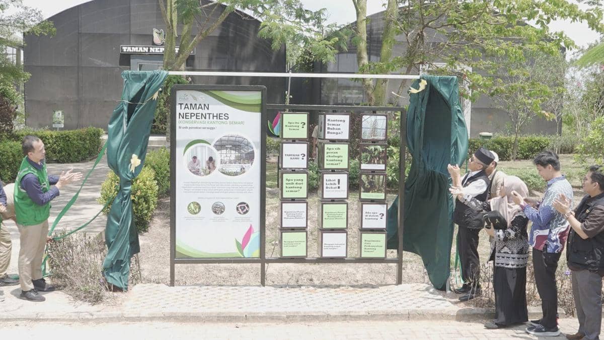 Institut Teknologi Sumatera (Itera) bersama PT PLN Nusantara Power UP berkolaborasi mengembangkan Taman Nepenthes atau Taman Kantong Semar di Kebun Raya Itera