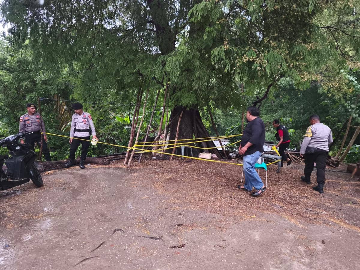 Temuan mortir aktif di kebun warga di TTU, Provinsi NTT.