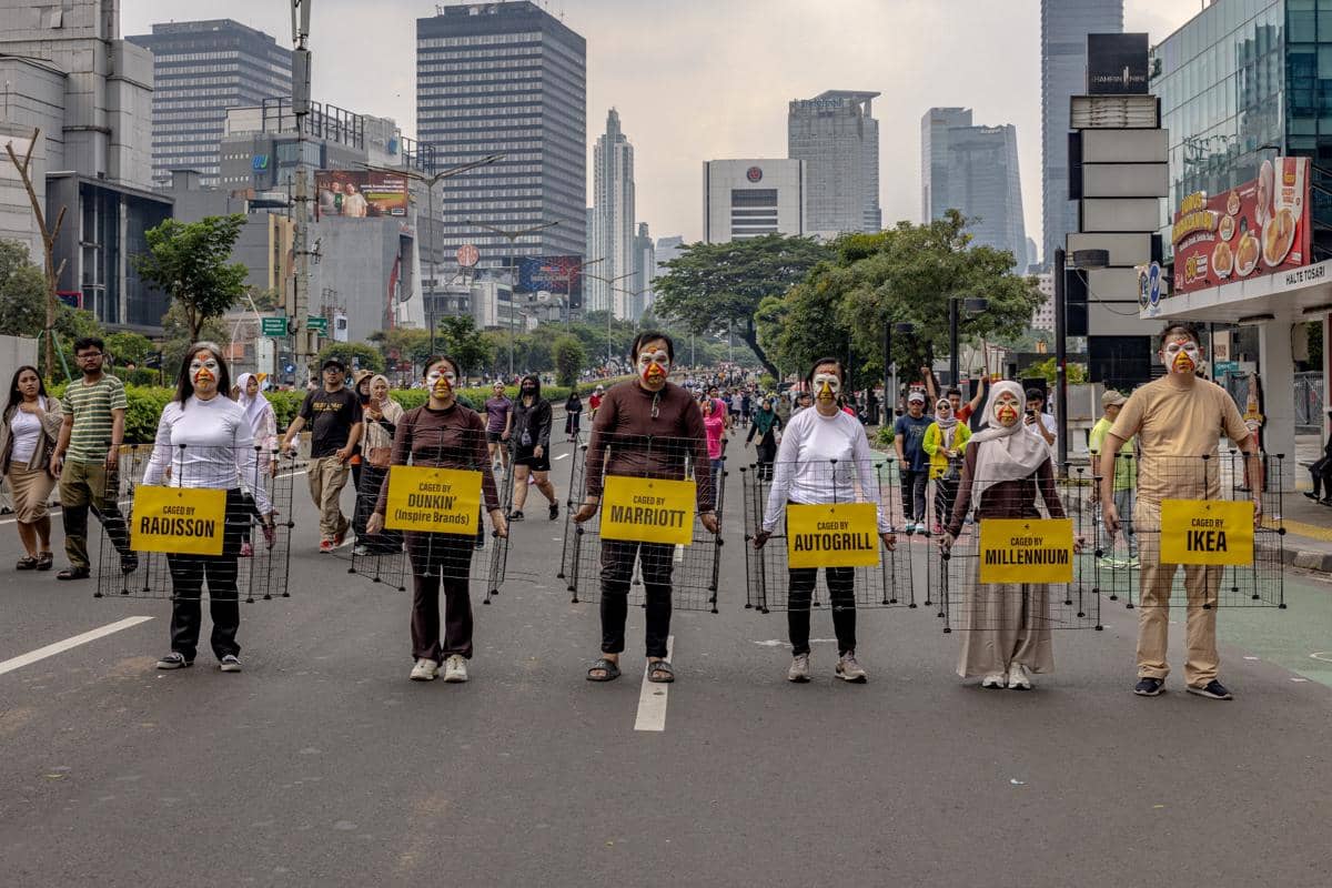Aktivis Minta Perusahaan Tepati Komitmen Bebas Sangkar (Dok. IDN Times)