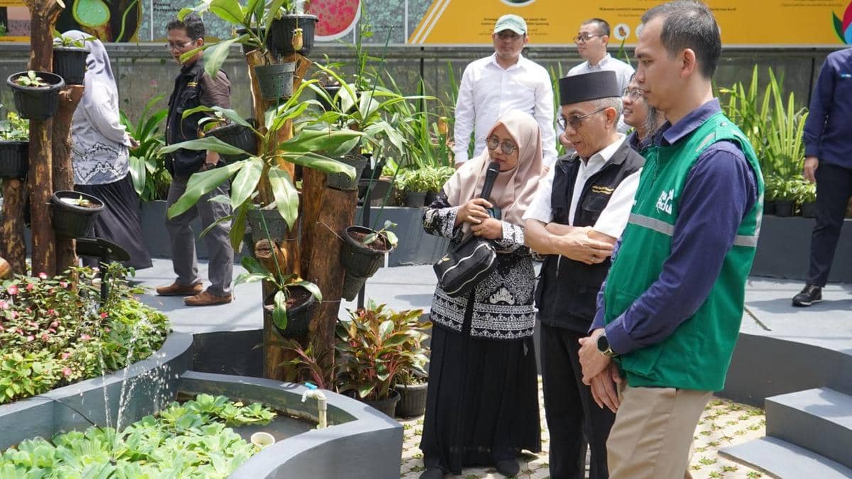 Institut Teknologi Sumatera (Itera) bersama PT PLN Nusantara Power UP berkolaborasi mengembangkan Taman Nepenthes atau Taman Kantong Semar di Kebun Raya Itera