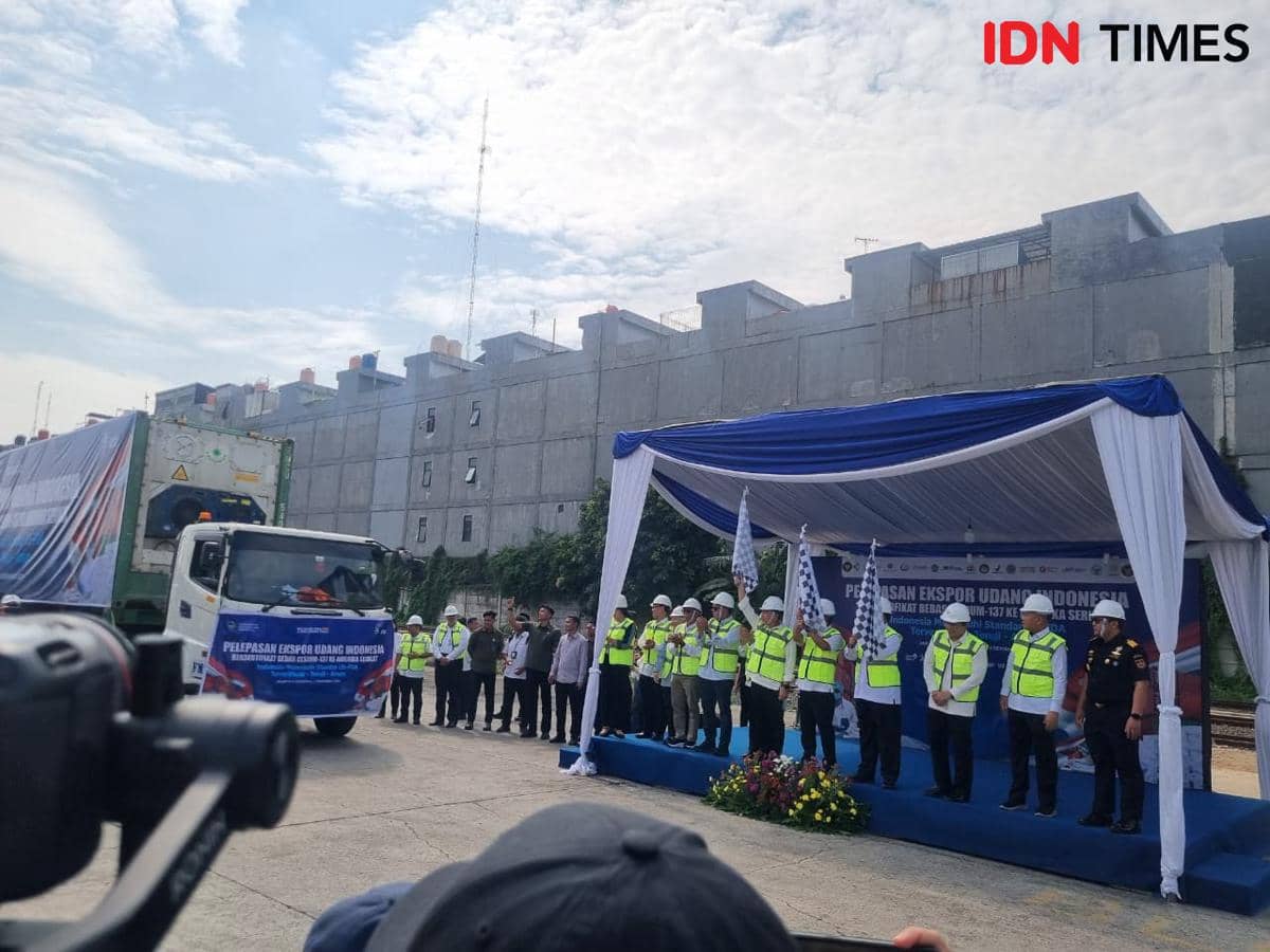 WhatsApp Image 2025-12-03 at 10.26.02.jpeg