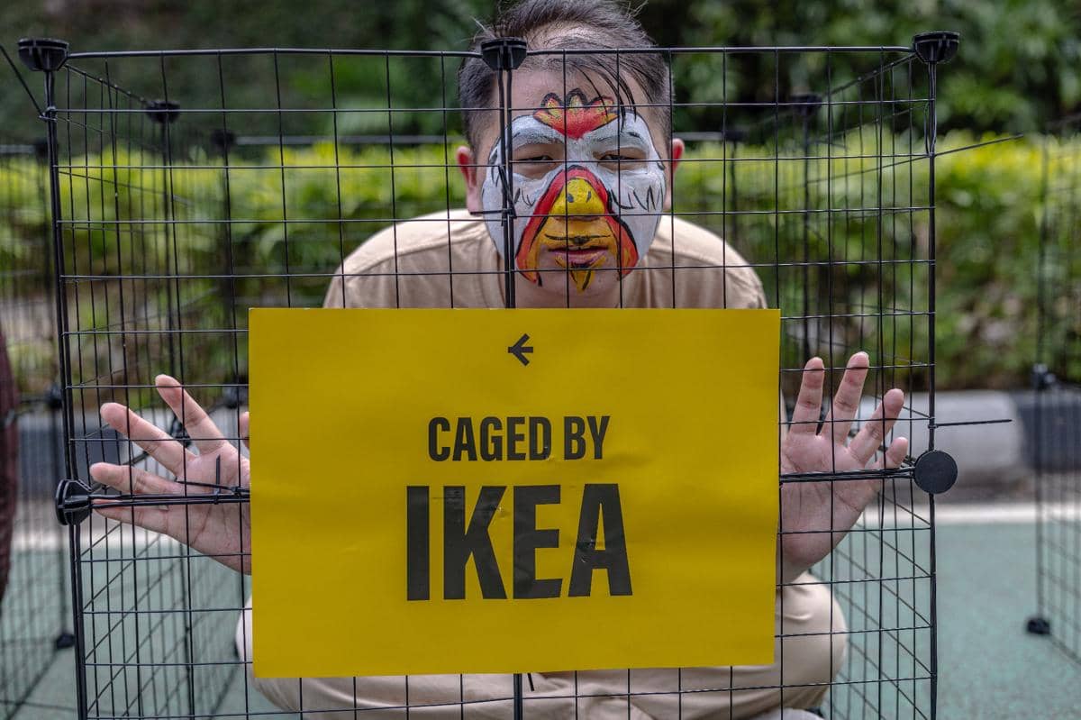 Aktivis Minta Perusahaan Tepati Komitmen Bebas Sangkar (Dok. IDN Times)