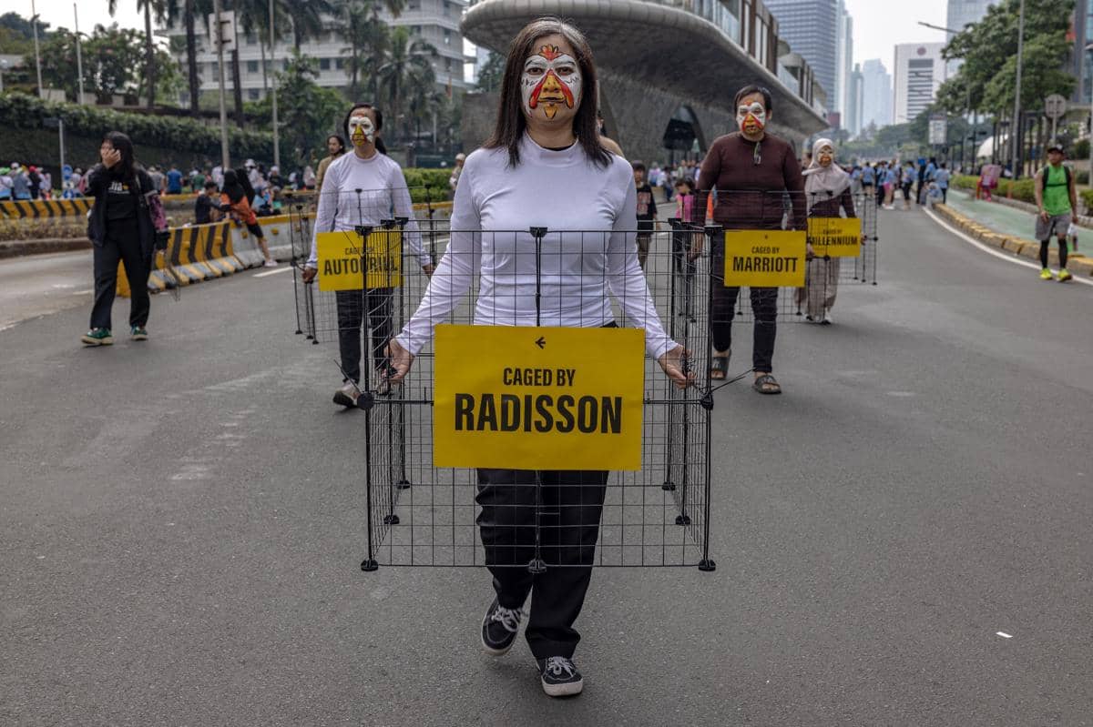 Aktivis Minta Perusahaan Tepati Komitmen Bebas Sangkar (Dok. IDN Times)