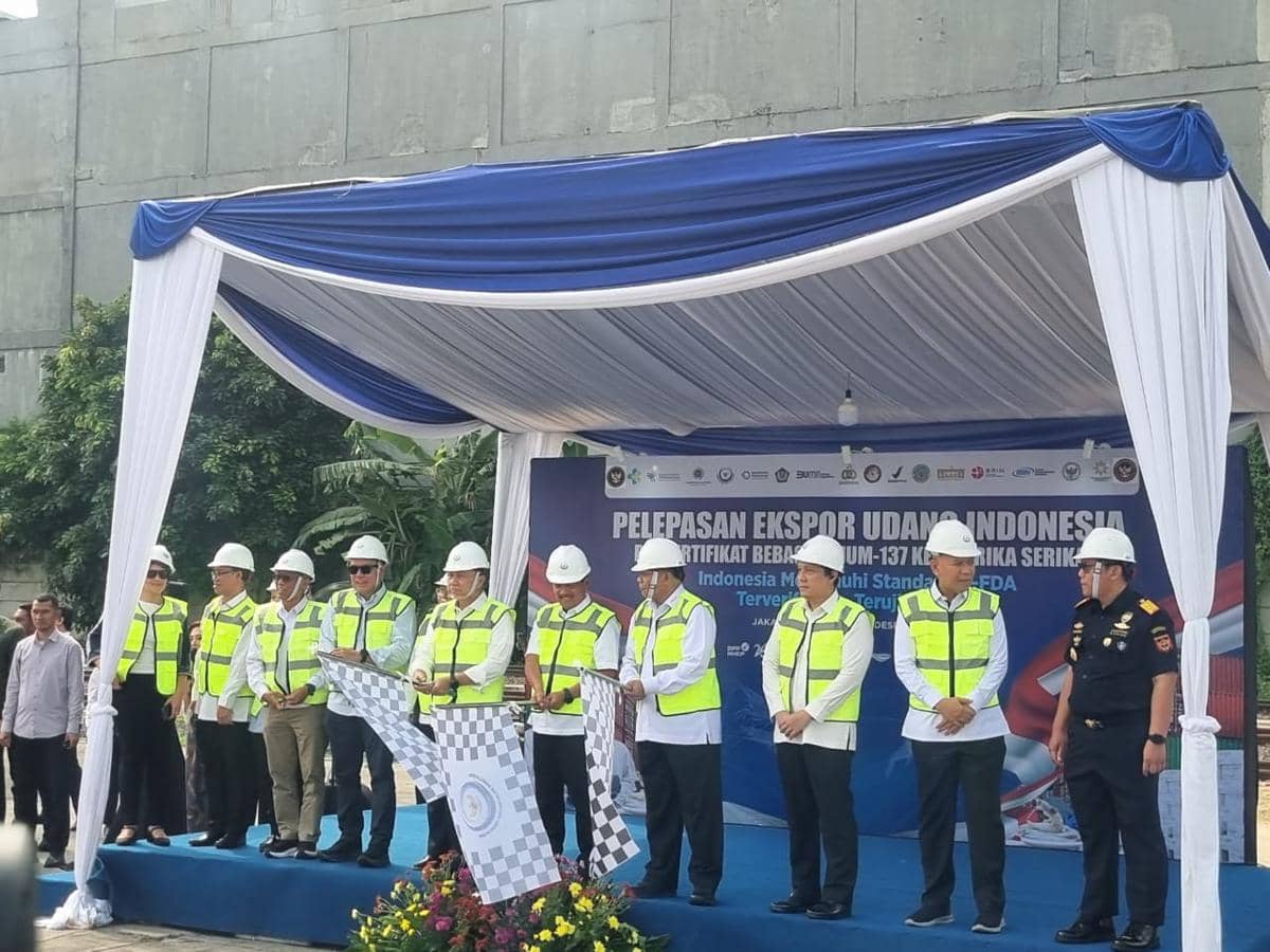 KKP ekspor udang ke Amerika