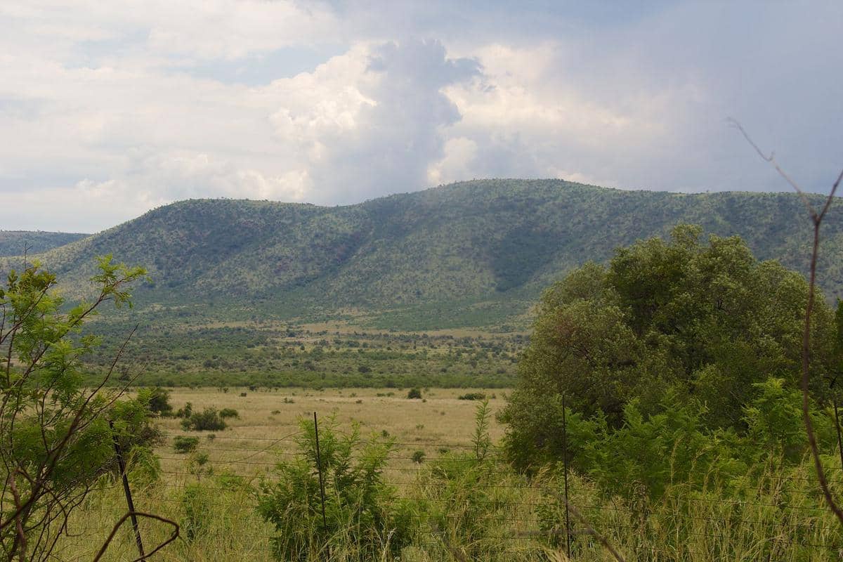 potret Pilanesberg National Park