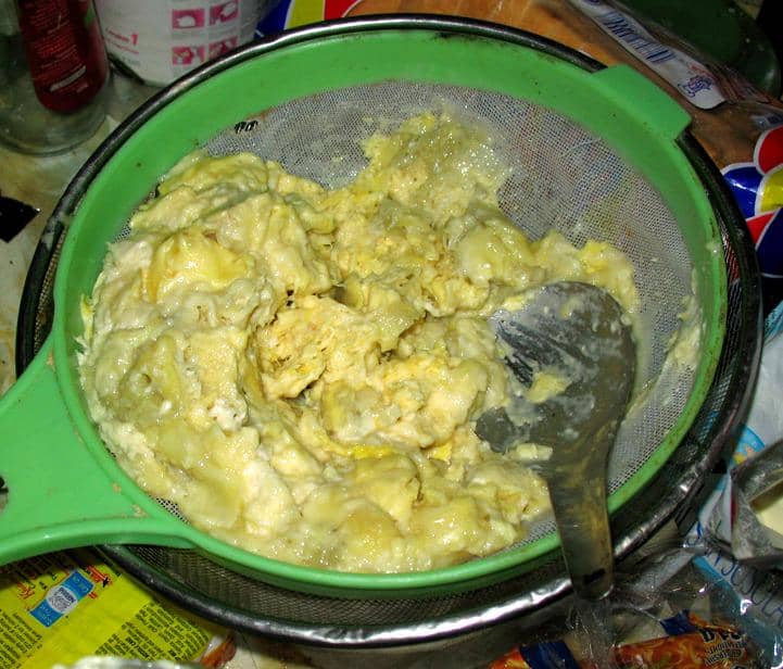 tempoyak