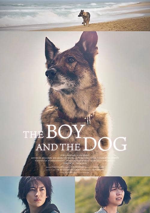 poster The Boy and The Dog