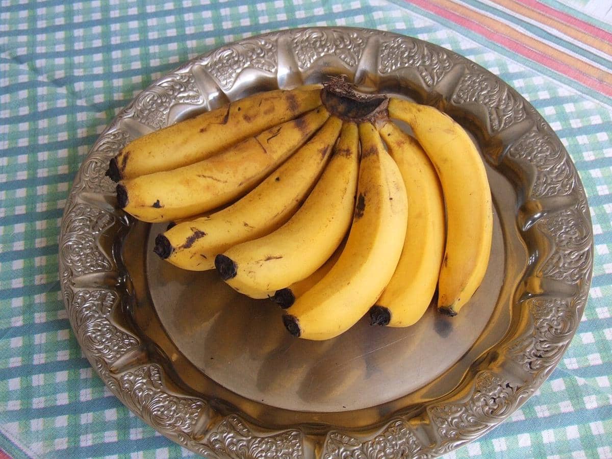 ilustrasi pisang