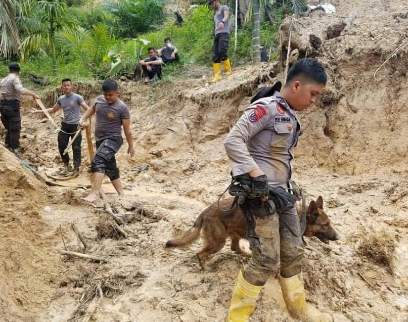 Malam itu, sebuah kabar duka datang dari lereng bencana di Kabupaten Agam, Sumatra Barat. Reno