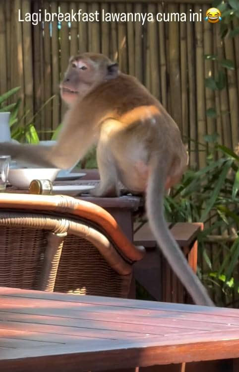 Babymoon Alyssa Daguise dan Al Ghazali di Thailand (instagram.com/alyssadaguise)