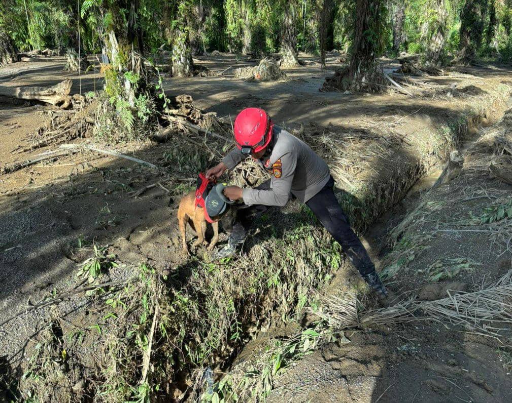Malam itu, sebuah kabar duka datang dari lereng bencana di Kabupaten Agam, Sumatra Barat. Reno