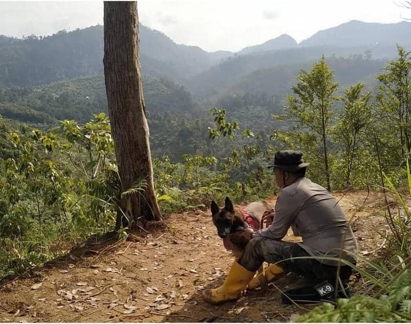 Anjing K9 Polda gugur