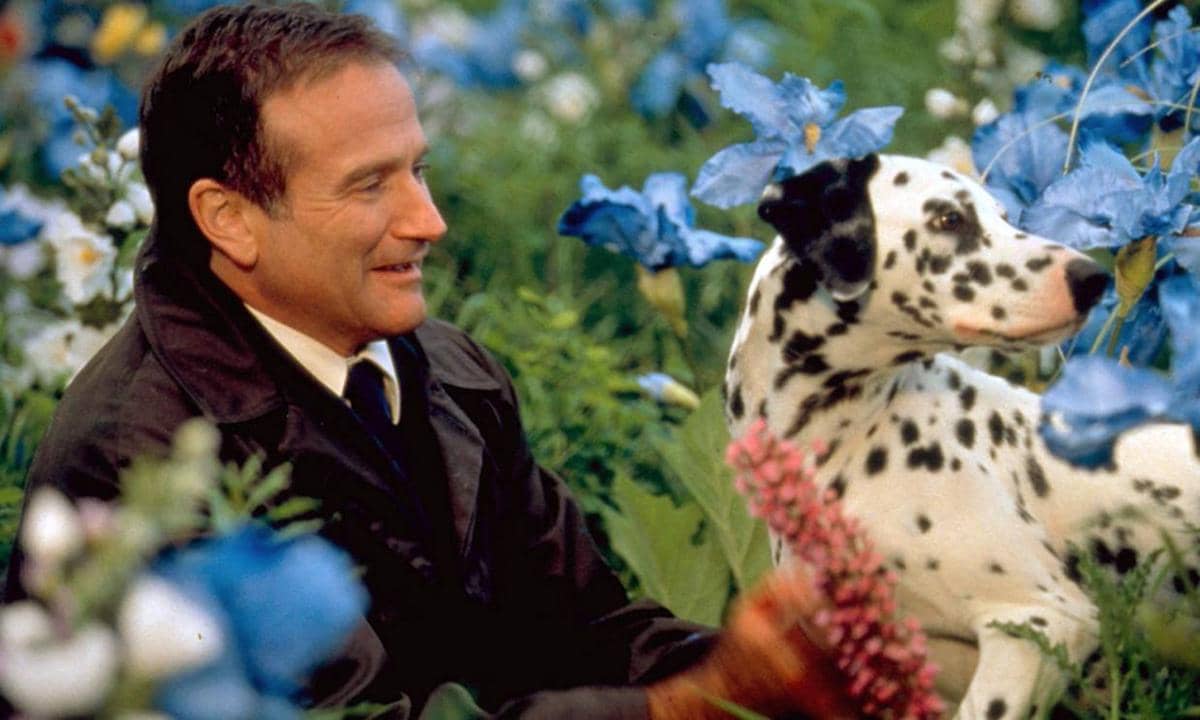 What Dreams May Come