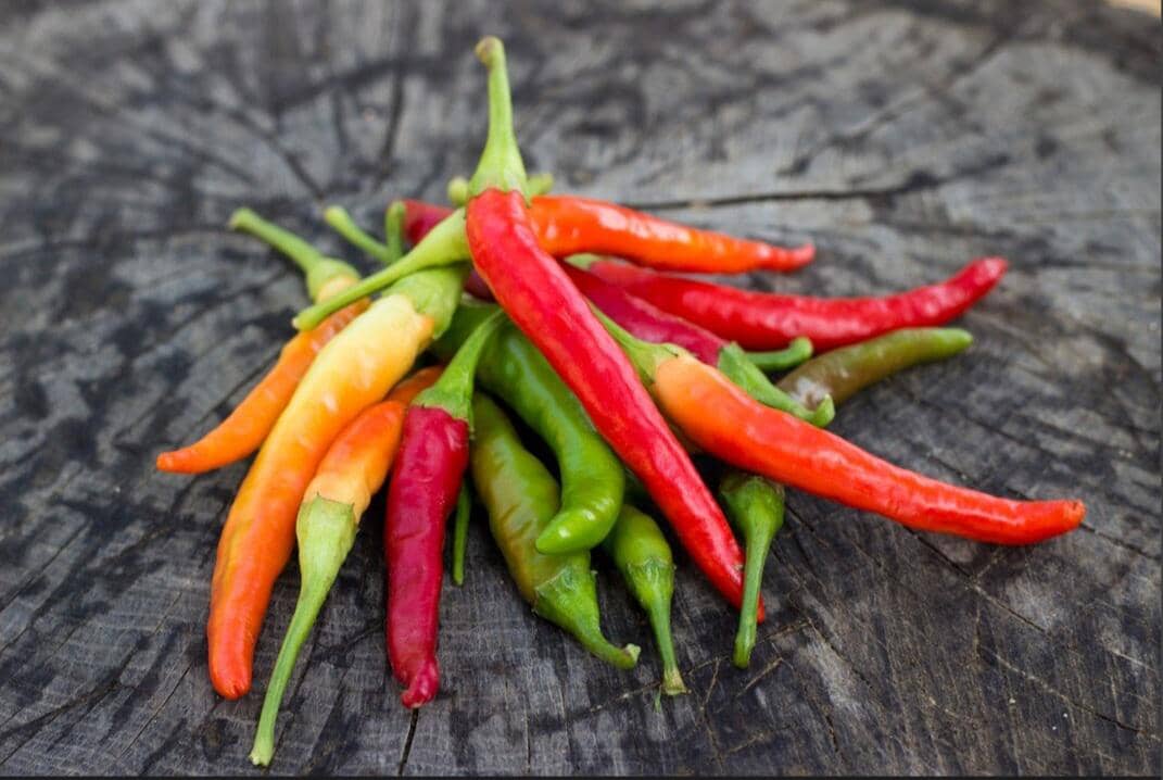 ilustrasi cabai rawit