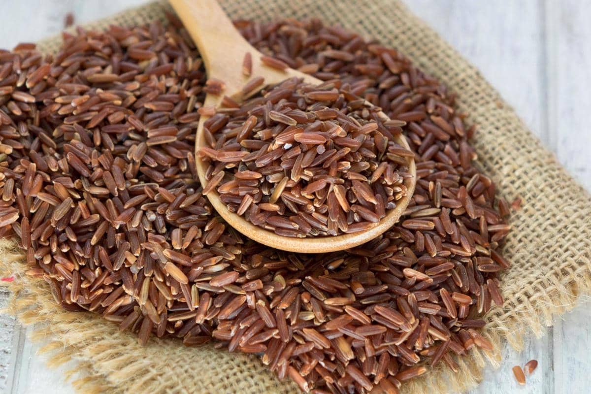 ilustrasi beras merah 