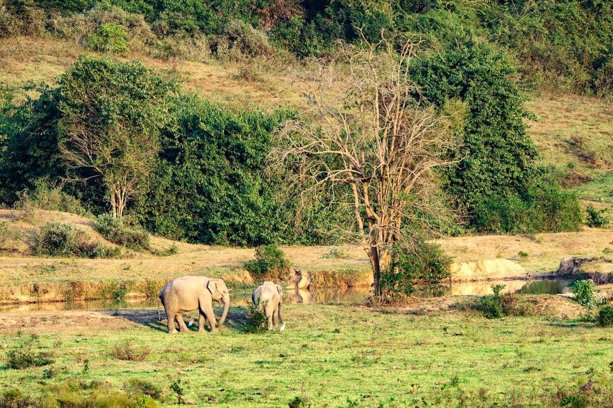 Kui Buri National Park