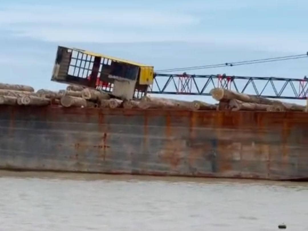 Penampakan kapal tongkang dan kayu gelondongan terdampar di Pantai Tanjung Setia, Pesisir Barat.